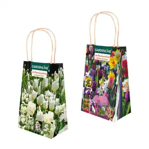 GARDENLINE Blumenzwiebeln Farbthema Herbst