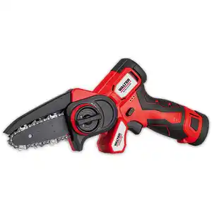 Walter Brushless 12V Li-Ion-Akku-Entaster inkl. 2 Akkus