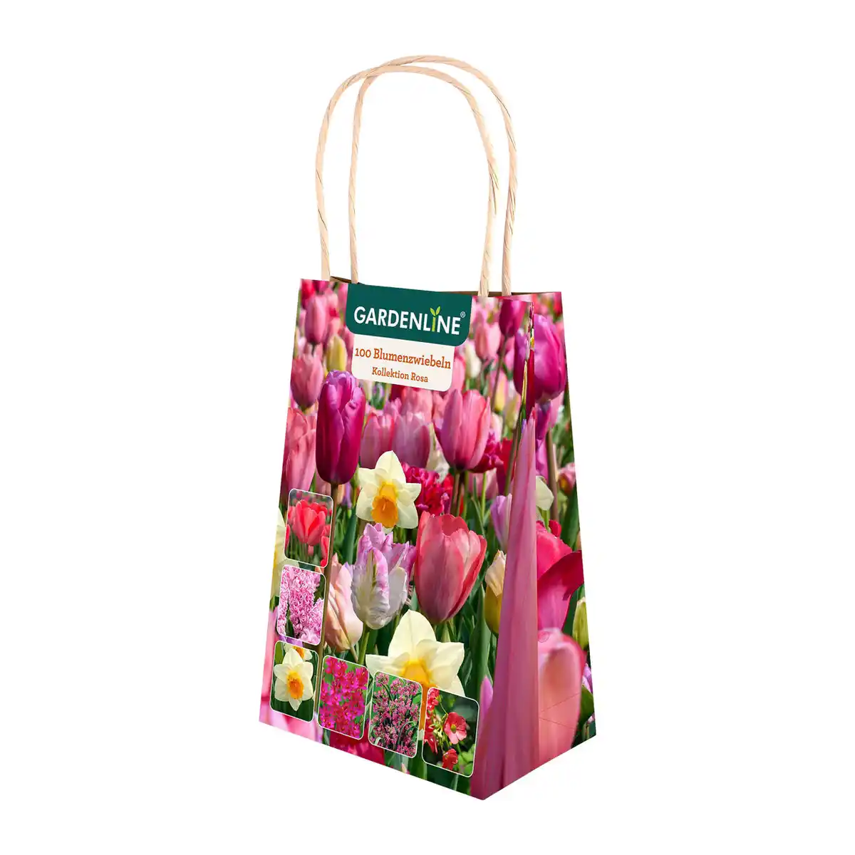 Bild 3 von GARDENLINE Blumenzwiebeln Farbthema Herbst