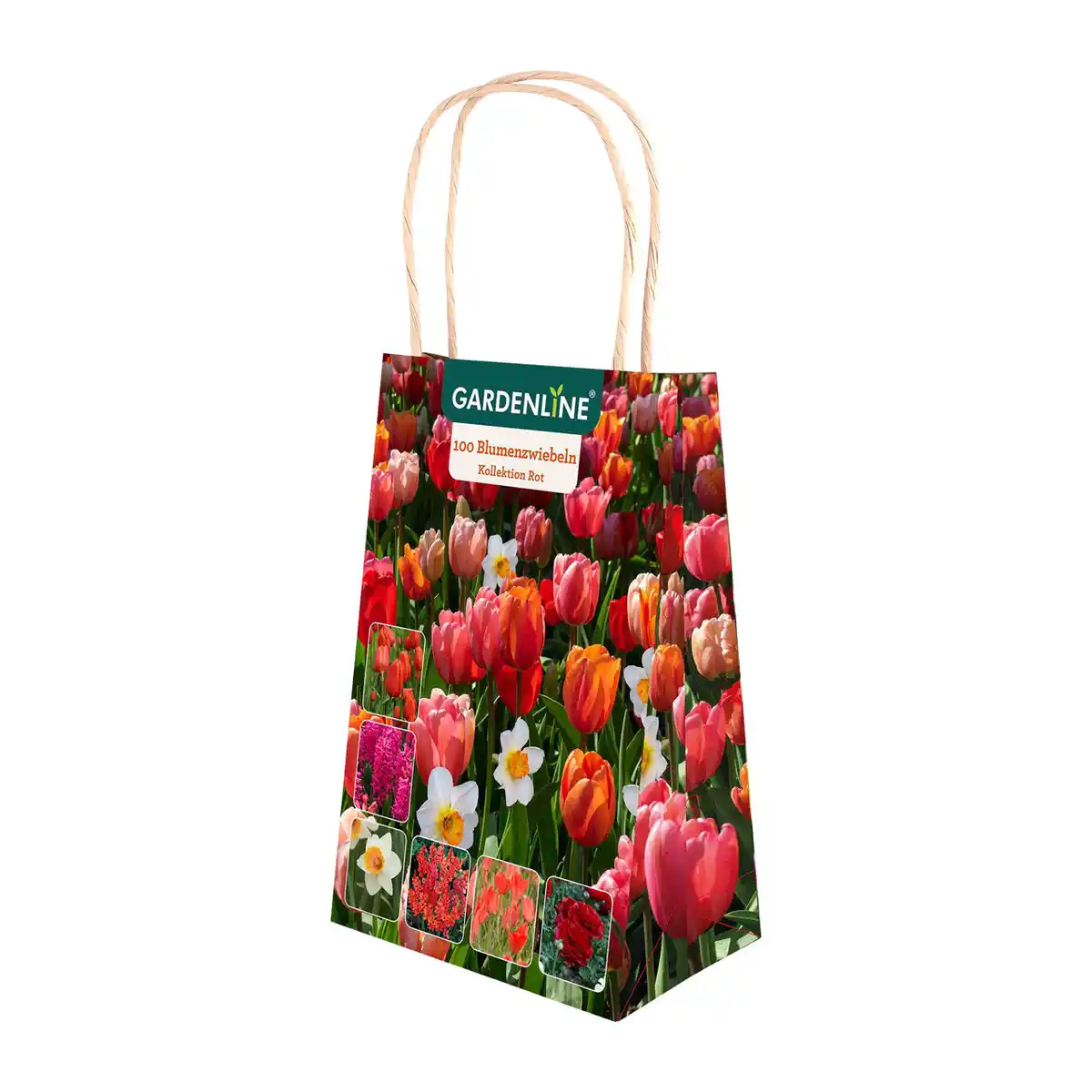 Bild 4 von GARDENLINE Blumenzwiebeln Farbthema Herbst