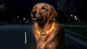ROMEO LED-Halsband