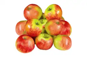 Tafeläpfel Elstar