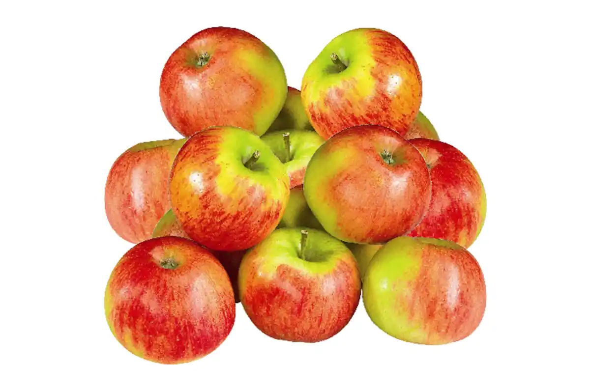 Bild 1 von Tafeläpfel Elstar