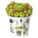 Bild 1 von Sommergarten