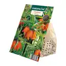 Bild 3 von GARDENLINE Herbstblumenzwiebel-Spezialität