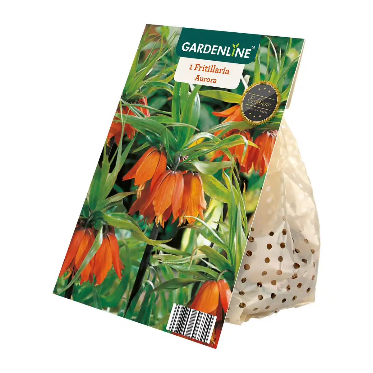 Bild 3 von GARDENLINE Herbstblumenzwiebel-Spezialität