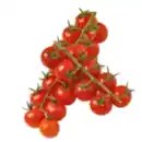 Bild 1 von Cherrytomaten Miss Perfect rot