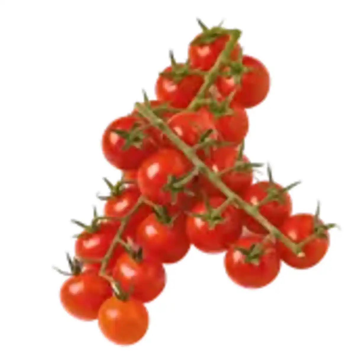 Bild 1 von Cherrytomaten Miss Perfect rot