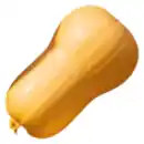 Bild 1 von Butternut Kürbis