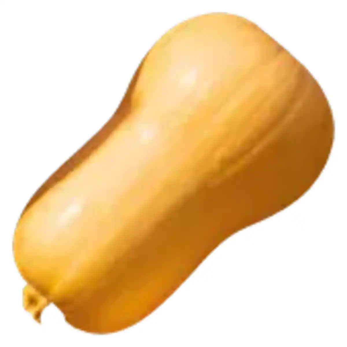 Bild 1 von Butternut Kürbis