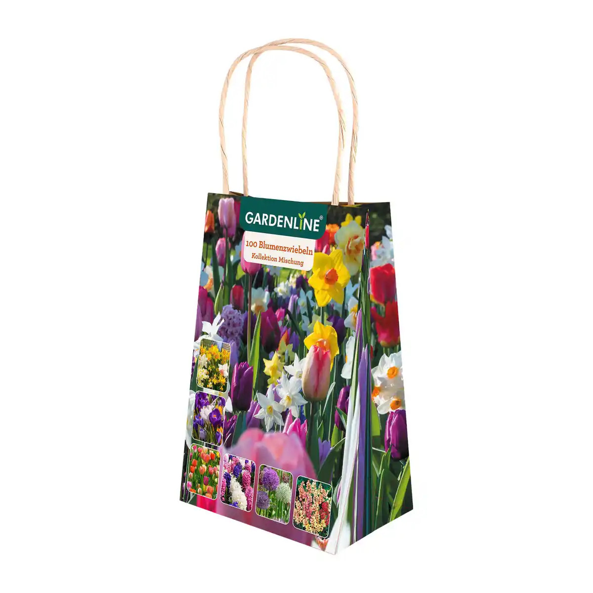 Bild 2 von GARDENLINE Blumenzwiebeln Farbthema Herbst