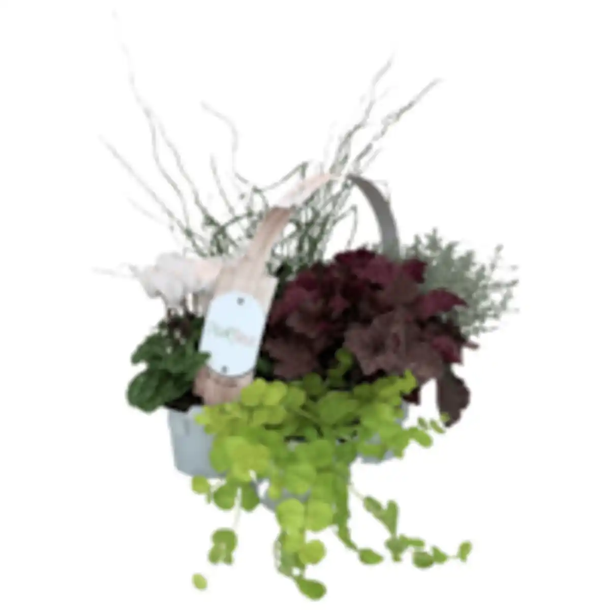 Bild 1 von »Bunter Herbst«