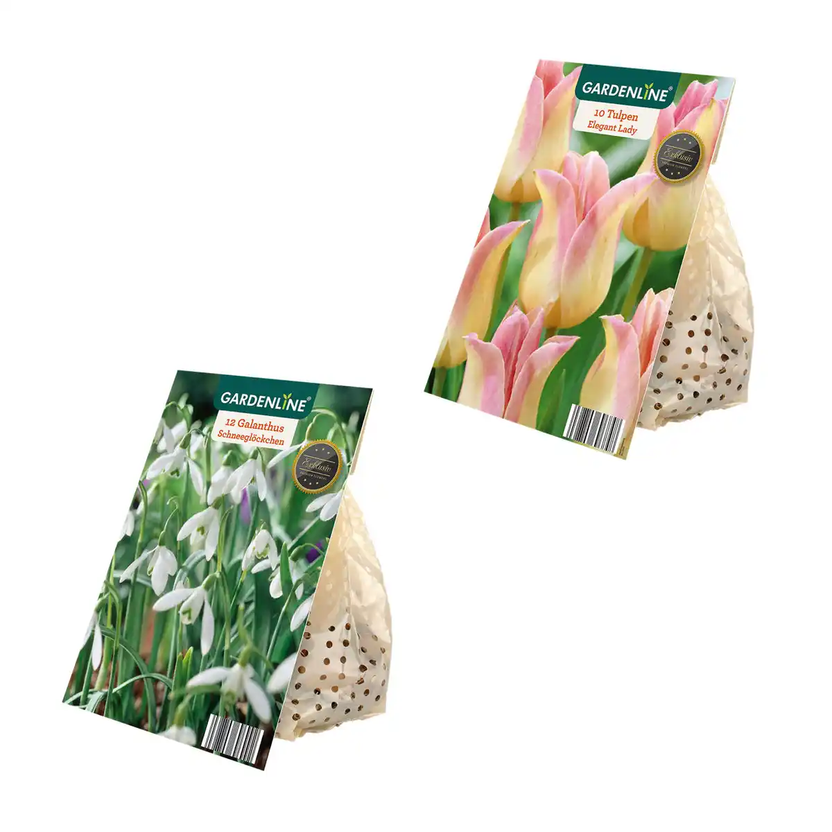 Bild 1 von GARDENLINE Herbstblumenzwiebel-Spezialität