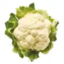 Bild 1 von Deutscher Blumenkohl