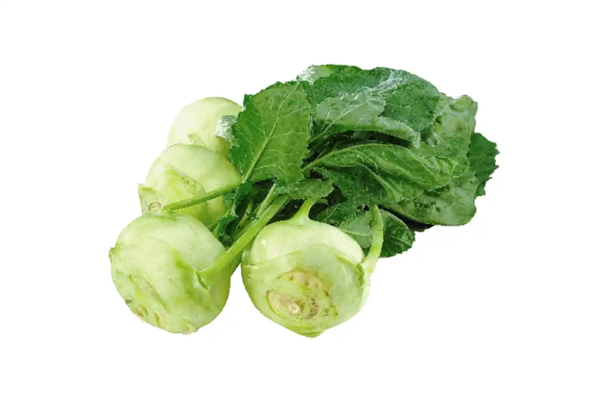 Bild 1 von Kohlrabi