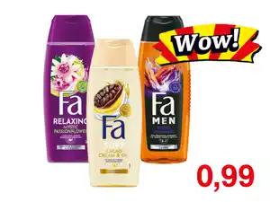 Fa Duschgel