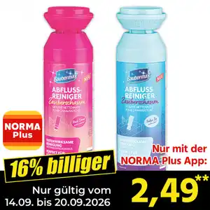 Saubermax Abflussreiniger Zauberschaum