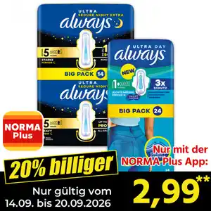 always Ultra Binden