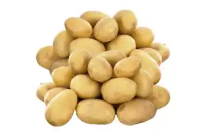 Speisekartoffeln