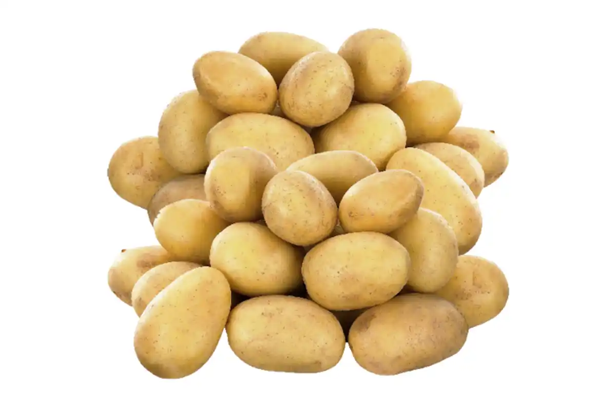 Bild 1 von Speisekartoffeln