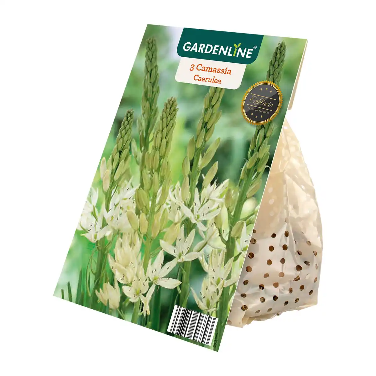 Bild 4 von GARDENLINE Herbstblumenzwiebel-Spezialität