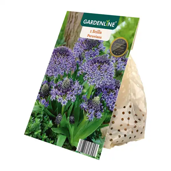 Bild 2 von GARDENLINE Herbstblumenzwiebel-Spezialität