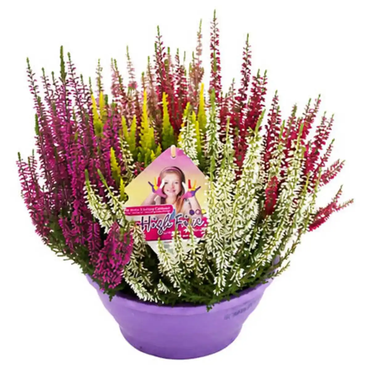 Bild 1 von GARDENLINE High Five® Schale