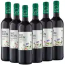 Bild 2 von Bio Sonne Tempranillo Vino de la Tierra de Castilla