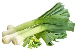 Lauch