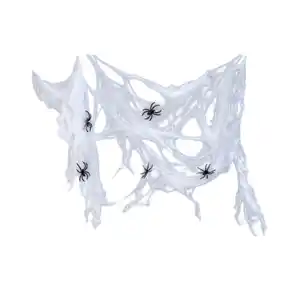 Spinnennetz