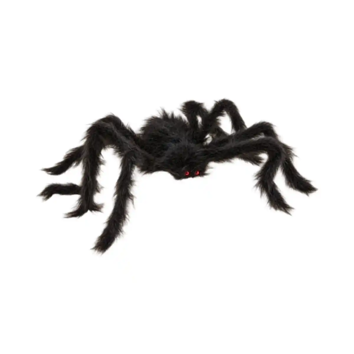 Bild 1 von Riesenspinne