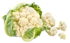 Blumenkohl