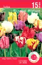 Bild 1 von Tulpen Attraktiv