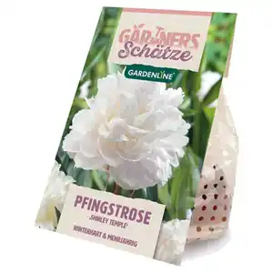 GARDENLINE Pfingstrose, Shirley Temple