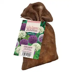 GARDENLINE Blumenzwiebeln XXL im Jutebag, Allium Mischung