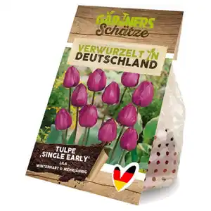 GARDENLINE Blumenzwiebeln, Tulpen Einfache