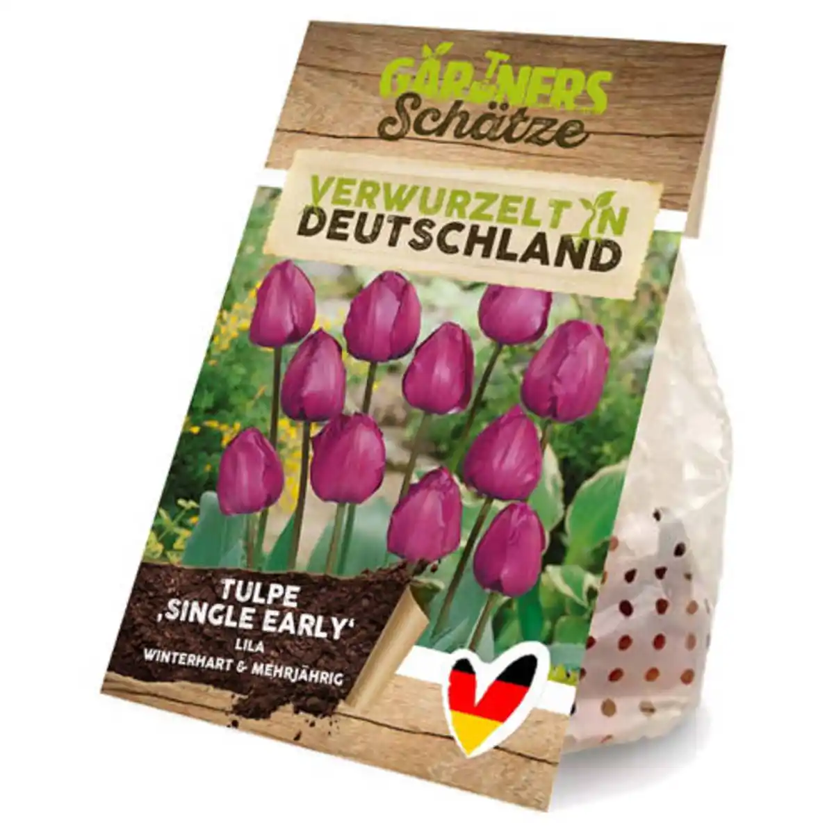 Bild 1 von GARDENLINE Blumenzwiebeln, Tulpen Einfache