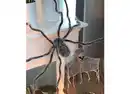 Bild 1 von XXL-Spinne Plüsch
