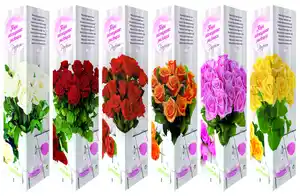 Rosen "Premium" versch. Sorten