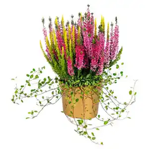 GARDENLINE Heidemischung
