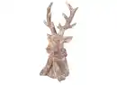Bild 1 von Hirsch H ca. 30 cm