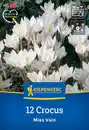 Bild 1 von Kiepenkerl Herbstblumenzwiebel Krokus Miss Vain 12 Pflanzen