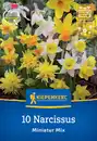 Bild 1 von Kiepenkerl Herbstblumenzwiebel Miniatur-Narzissen Mischung 10 Stück