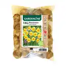 Bild 3 von GARDENLINE Narzissen- / Tulpenzwiebeln