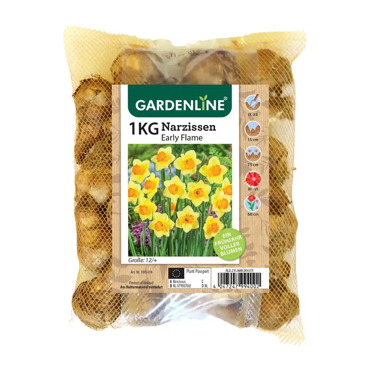 Bild 3 von GARDENLINE Narzissen- / Tulpenzwiebeln