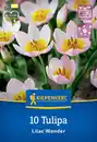 Bild 1 von Kiepenkerl Herbstblumenzwiebel Wildtulpe Lilac Wonder 10 Stück
