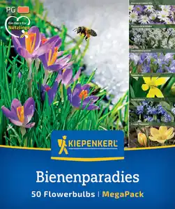 Kiepenkerl Herbstblumenzwiebelmischung Mega-Pack Bienenparadies 50 Stück