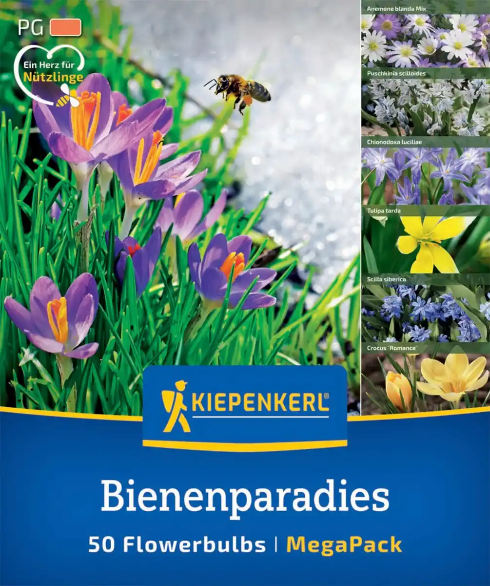 Bild 1 von Kiepenkerl Herbstblumenzwiebelmischung Mega-Pack Bienenparadies 50 Stück