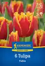 Bild 1 von Kiepenkerl Herbstblumenzwiebel Tulpe Fabio 6 Stück