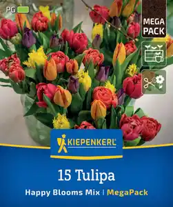 Kiepenkerl Herbstblumenzwiebelmischung Mega-Pack Tulpen Happy Bloom Mix 15 Stück